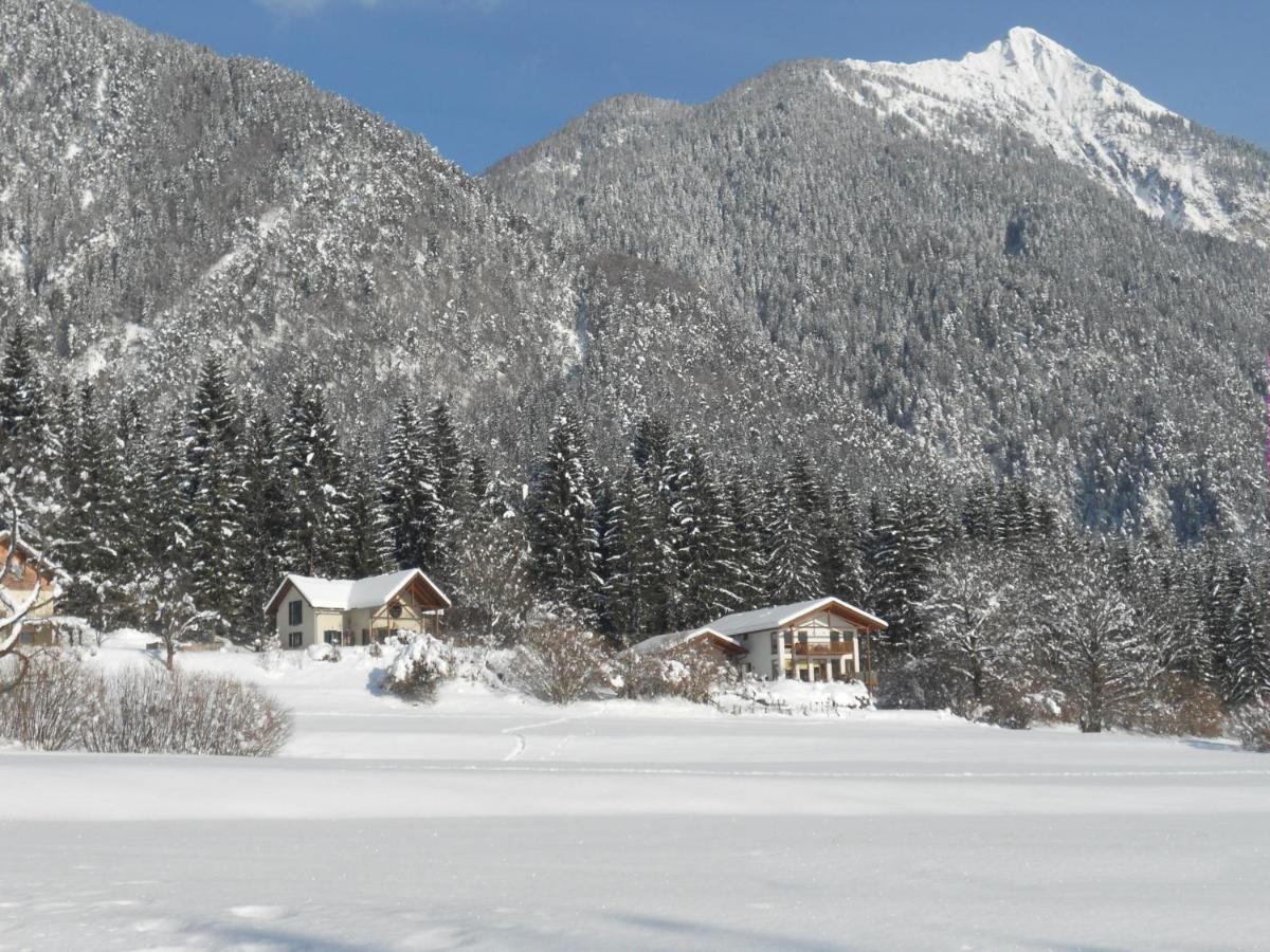 Haus Jana Villa Hermagor-Pressegger See Bilik gambar